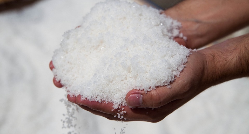 mão segurando em formato de cunha, grãos brancos de sal.