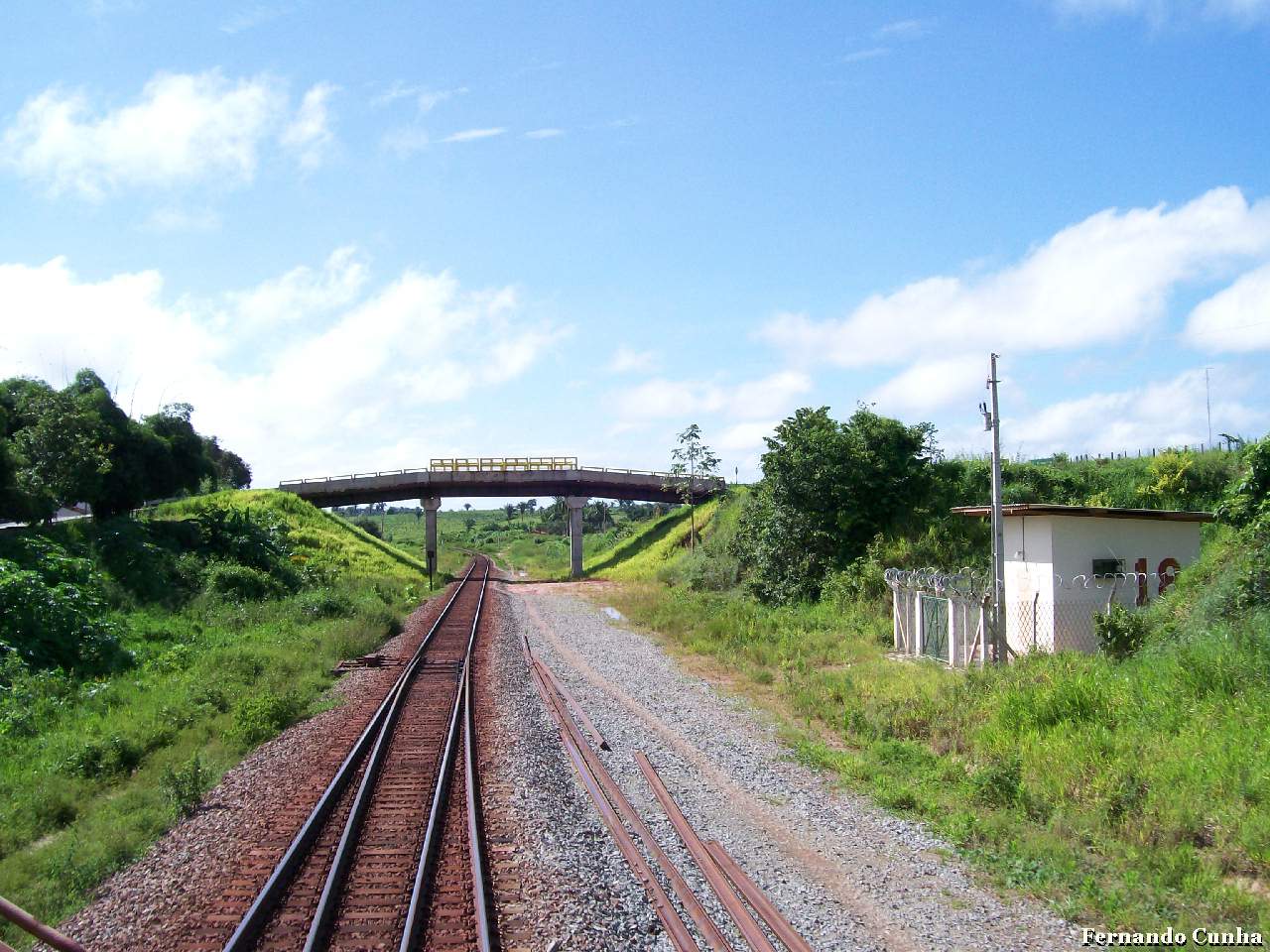 Foto mostrando uma parte do trilho da Estrada de Ferro Carajás