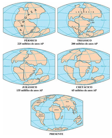 Vários quadros mostrando como os continentes foram divididos.