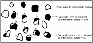 Várias partículas pintadas mostrando proporção entre minério e ganga.