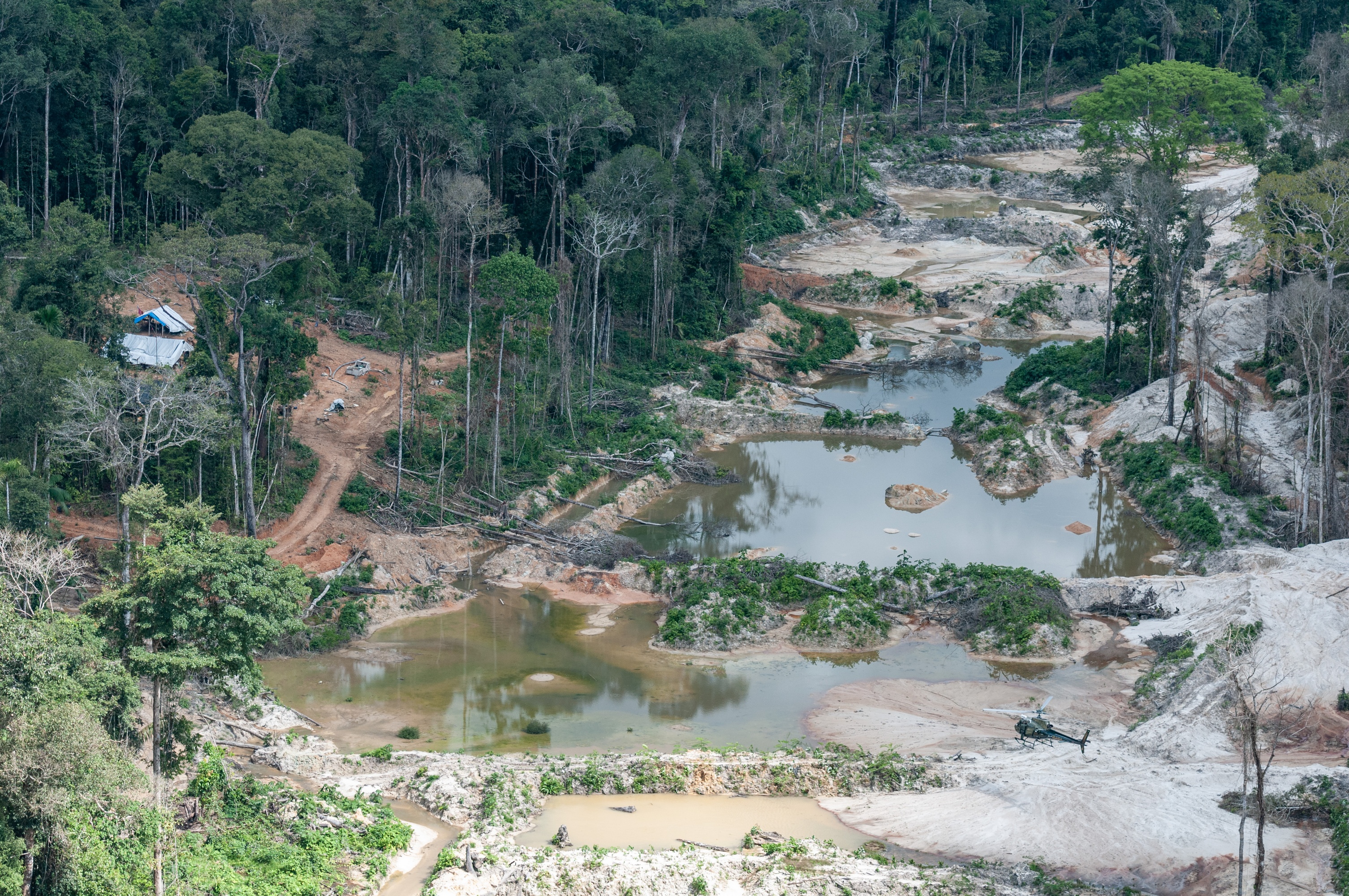 Clareira desmatada circundada pela floresta (amazônica), com vários poços com água barrenta em sequências formando diques.