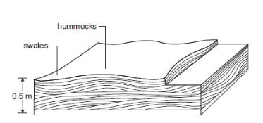Desenho esquemático de Hammocky
