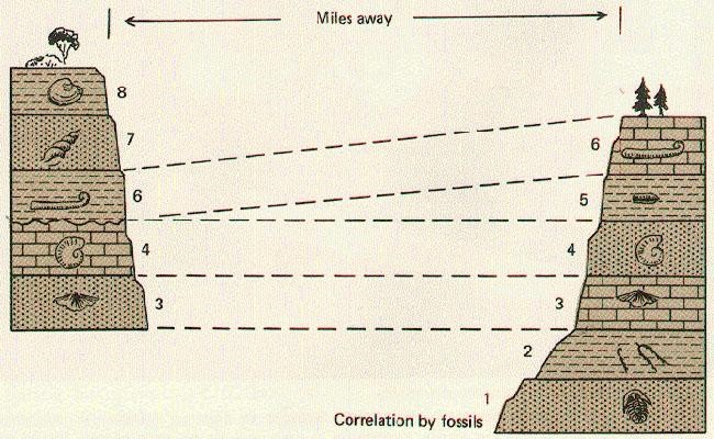 Biostratigrafia - “A representação da Sucessão Faunística”. Créditos: The Changing Earth – Introduction to Geology (2nd ed.), by Mears, Jr., D. Van Nostrand Co., 1977.