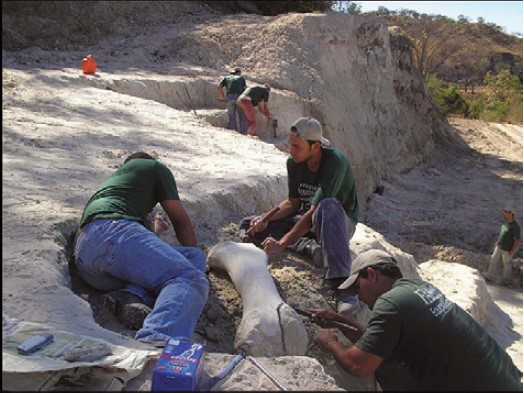 Escavações fossilíferas de fêmur de titanossauro na Serra do Veadinho na antiga região da lavra.