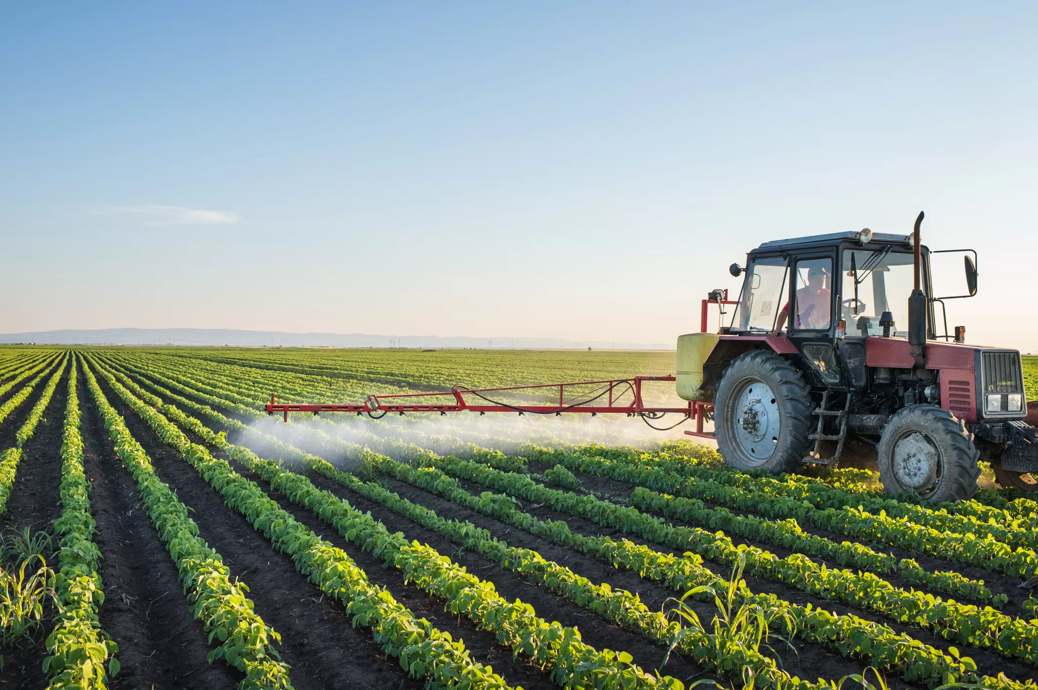 Agricultura Fertilizada