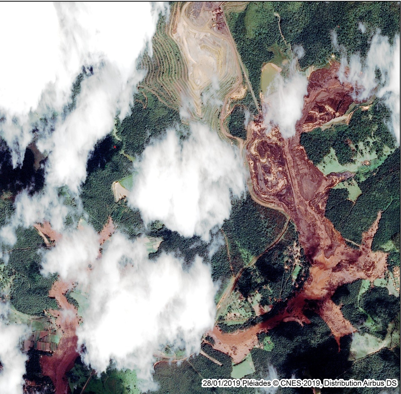 Desastre ambiental na barragem de Feijão, Brumadinho