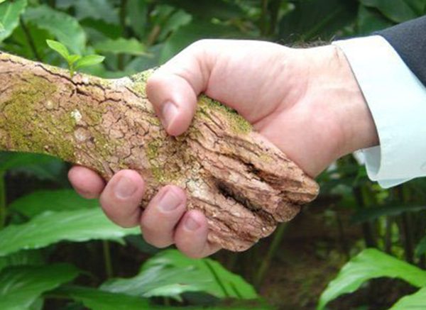 É necessário buscar alternativas sustentáveis para a pequena mineração