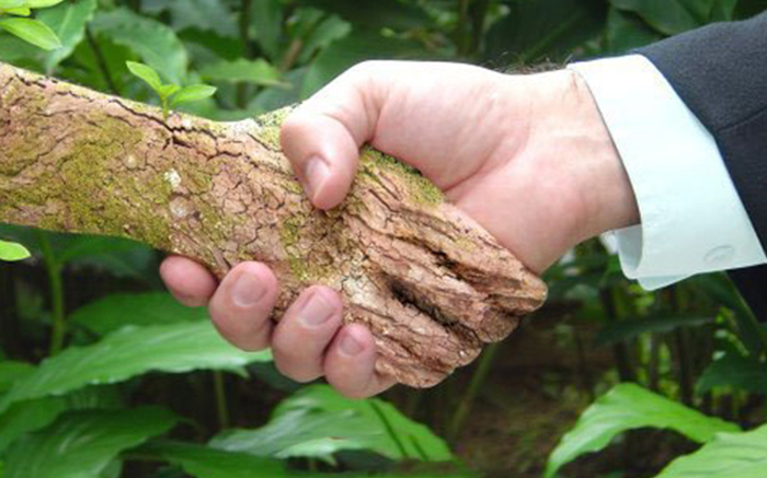 É necessário buscar alternativas sustentáveis para a pequena mineração