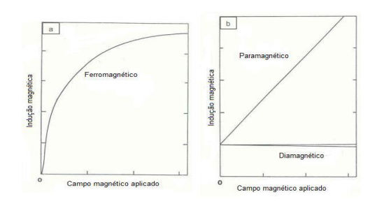 Indução magnética para diferentes minerais. Fonte: CEFET-MG