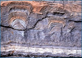 Fósseis estromatólitos localizados no Canadá.