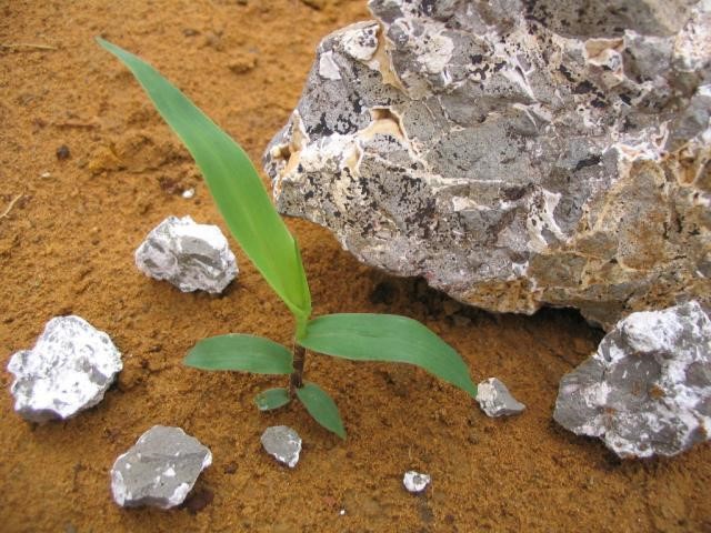 Remineralizadores: pó de rocha usado na fertilização dos solos. Fonte: Embrapa.