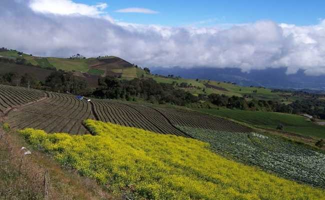 Escassez de fósforo ameaça produção regional de alimentos.