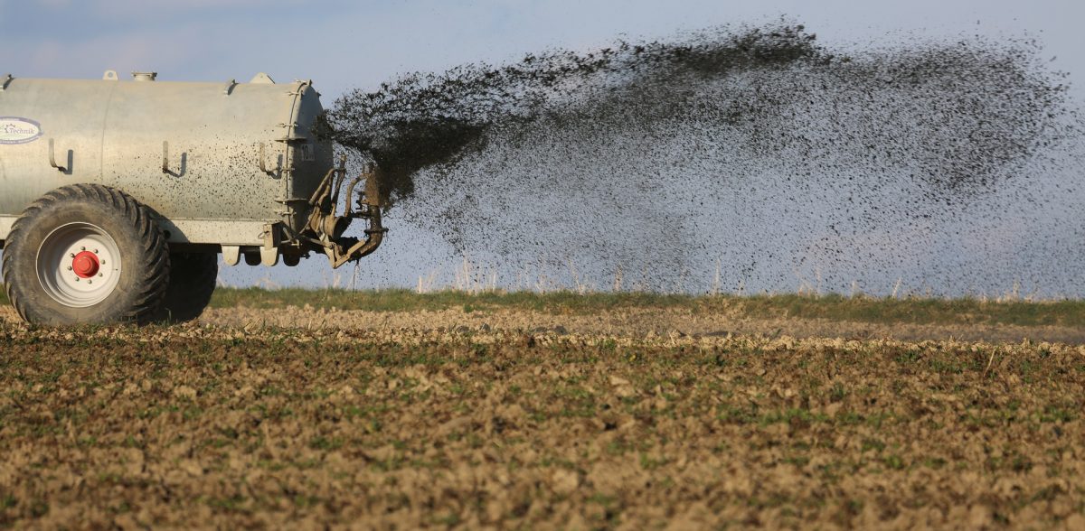 Agrominerais na produção de fertilizantes