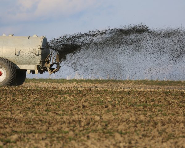 Agrominerais na produção de fertilizantes