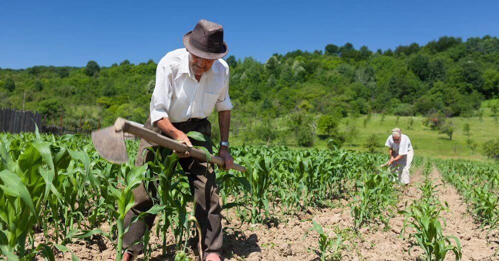 Retrato da agricultura familiar brasileira.