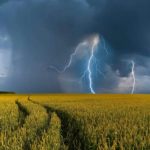 Como a meteorologia pode auxiliar o agronegócio